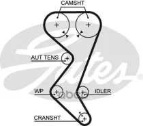 ������ ��� Citroen C4 2.0, C5 1.8-2.2 01-, C8 2.0, 2.2 02-, Xsara 1.8, 2.0 00-/ Peugeot 206 2.0 99-, 406, 407 00- Gates ���. 5528XS 70153x1 HSN 5528XS...