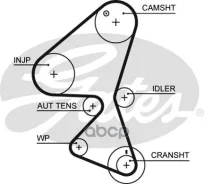 ������ ��� Citroen C4, C5 1.6D 04-/ FORD Focus 1.6D 04-/ Peugeot 307,407 1.6D 03- Gates ���. 5598XS 137x25 Gates 5598XS ����