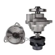 ����� �������� ���������� FORD Fiesta 11/01-06/08, Fusion 11/02-07/05 Gates ���. WP0171 Gates WP0171 ����