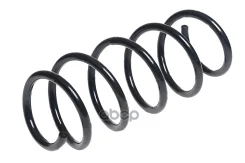 ������� ������� ����� | ����� ���� | Civic 1,8 4-Doors, Right 05-11 Standard Springs ���. ST111057F Standard Springs ST111057F ����