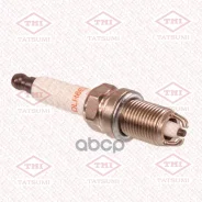 ����� ��������� Multielectrode DLR6ELM BKR6EK BMW E36/E34/E39/E32/E38/E31 87- Tatsumi ���. THS3002 THS3002 ����