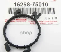 ������ �������������� Toyota ���. 1625875010 1625875010 ����