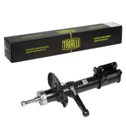 ����������� (������) �����. ����. ����. ��� �/� ��� 2170 Priora | ���� | ��� 2170 Priora Trialli ���. AH01360 Trialli AH01360 ����
