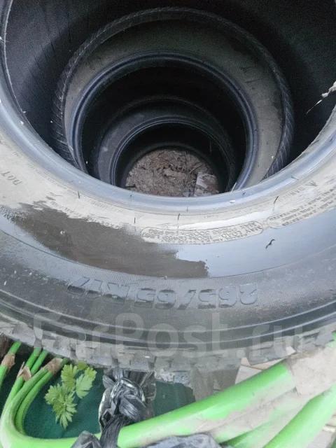 Michelin TRX. ������, 2019 ���, �/�, ����� �� 5 % ����