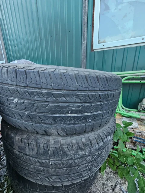 Michelin TRX. ������, 2019 ���, �/�, ����� �� 5 % ����