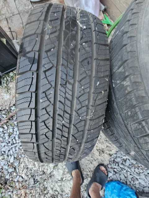 Michelin TRX. ������, 2019 ���, �/�, ����� �� 5 % ����