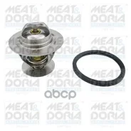 ��������� Ford Focus 1.8 TDCiTransit 2.5 TD MEAT Doria ���. 92321 92321 ����