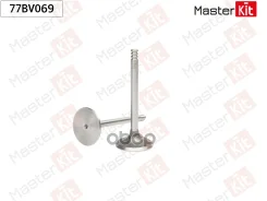 ������ �������� VAG BAC, BPE MasterKit ���. 77BV069 77BV069 ����
