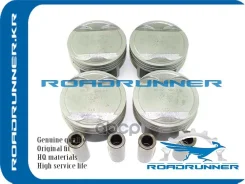 ������� ��������� � ����� Roadrunner ���. RR234102G000 RR234102G000 ����
