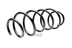 ������� ������� ����� | ����� ����/��� | Standard Springs ���. ST124093F ST124093F ����