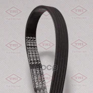 ������ ������������ 5PK1060 5PK1060 Tatsumi ���. TFB1264 TFB1264 ����