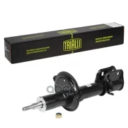 ����������� | ����� ��� | ���� 2108 (������) �����. ���. ����. ��������� (AH 01176) Trialli ���. AH01176 AH01176 ����
