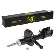 ����������� | ����� ���� | ���� 2110 (������) �����. ����. ����. ��������� (AH 01379) Trialli ���. AH01379 AH01379 ����