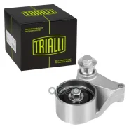 ����� ��� Hyundai Santa Fe (05-) 2.7 Trialli ���. CM5069 CM5069 ����