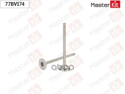 ������ ��������� Renault M9R MasterKit ���. 77BV174 77BV174 ����