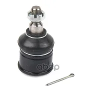 ����� ������� | ����� ����/��� | Honda Accord VIII Partra ���. BJ5002 BJ5002 ����