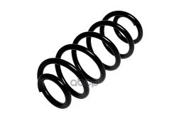 ������� ������� ����� | ����� ����/��� | A6 2,4 / 2,8 / 3,0 Quattro 4/97-5/04 Standard Springs ���. ST102051F Standard Springs ST102051F ����