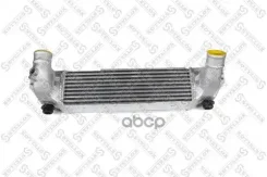 ���������� KIA Sorento 2.5 02 KIA Sorento(JC) 2.5d 05-11 Stellox ���. 1040248SX 1040248SX ����