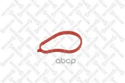 ��������� ���������� ��������� Audi A4 VW Passat B5 1.6 9700/ AUDI A4 B6 1.6 0004/ SEAT EXEO 1.6 0910/ AUDI A4 B5 1.6 9401/ Skoda Superb I 2.0 0108/ A...