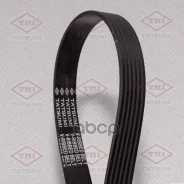 ������ ������������ 6PK1453 6PK1453 Tatsumi ���. TFB1175 TFB1175 ����