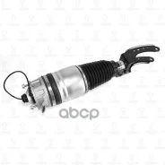 ����������������� | ����� ��� | VW Touareg / AUDI Q7 / Porsche Cayenne 10- TORR ���. DV3107L TORR DV3107L ����