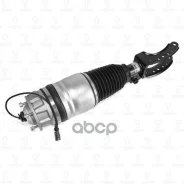 ����������������� | ����� ���� | VW Touareg / AUDI Q7 / Porsche Cayenne 10- TORR ���. DV3107R TORR DV3107R ����