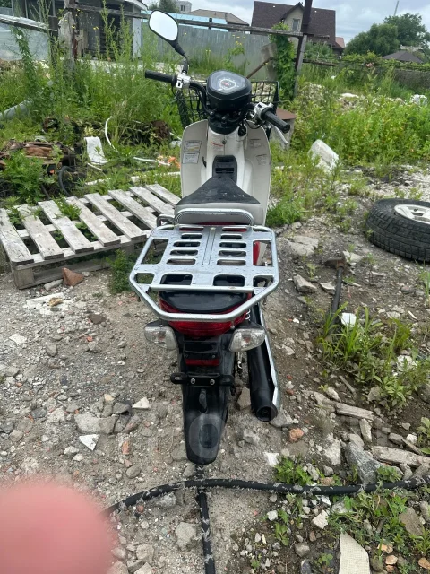 Honda Super Cub. 49����. ��., ��������, ���������, ������ �� �� ����