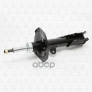 ����������� ������� | ����� ���� | Toyota Corolla 02- TORR ���. DV1195R DV1195R ����
