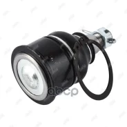 ����� ������� | ����� | Honda_EURO/CU2/CU8/CP1/CP2/CU1�/CP3 (2008-�)/Accord Coupe CP3/EURO/CS2/CS1 (2008-�)/Accord Tourer CW2/EURO (2008-2013)/Crossto...