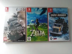 Nintendo eShop. ����