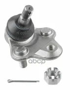 ����� ������� | ����� ����/��� | Toyota, Corolla Combi (_E12J_, _E12T_), Corolla Compact (_E10_), Corolla Compact (_E11_), Corolla (_E10_), Corolla (_...