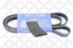 ������ ������. Opel Omega 3.0 87-90 Toyota Sequoia 4.7 4WD (UCK65_) 0714/ MB C-Class C 280 (202.028) 9300/ VW Transporter Mk IV 2.5 Syncro 9603/ VW Tr...