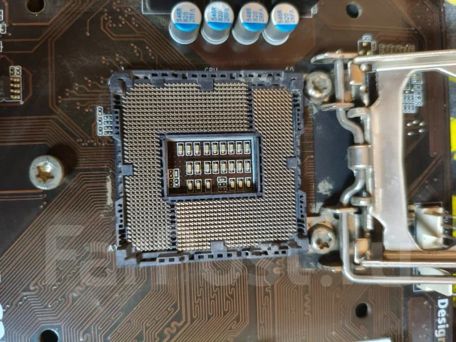 H81 ����