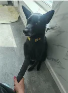 ������. ����