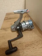 ������� ��������������. ����