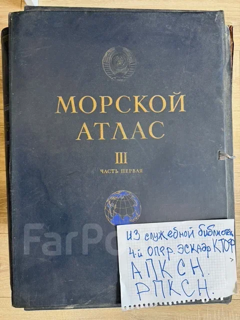 ������ ����