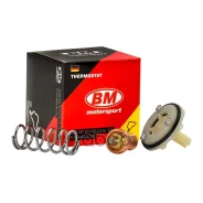 ��������� +83�C VAG POLO Sedan 1.6 2010- BM-Motorsport ���. TT4054 TT4054 ����