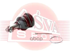 ����� ������� | ����� ����/��� | Toyota : Yaris ECHO ECHO Verso WILL NCP2# LCP2#Toyota Yaris NCP13 2001-2005 ASVA ���. 0120NCP 0120NCP ����