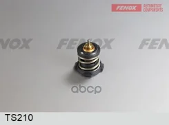 ��������� VW Golf VI, Audi A1 Fenox ���. TS210 TS210 ����