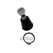 ����� ������� | ����� ����/��� | Maxima, Cefiro 00- LOW CTR ���. CB0326 / CBN-65 CB0326 ����
