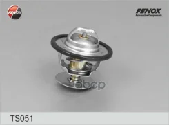 ��������� (+88�C) Ford Focus 1.8-2.0 98-04, Mondeo 1.8-2.0, 1.8D 93-00, Escort 1.6, 1.8, 1.8D 92-00 Fenox ���. TS051 TS051 ����