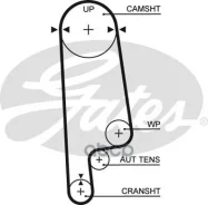 ������ ��� Honda Accord, Prelude F18/F20 90- Gates ���. 5234XS 113x24 5234XS ����