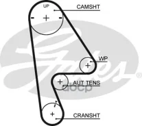 ������ ��� Honda Accord, Civic, HR-V D16A, ZC 92- Gates ���. 5410XS 76104x24 5410XS ����