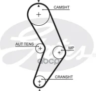 ������ ��� Renault Logan 02/06 Gates ���. 5662XS 5662XS ����