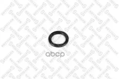 ������� �/� ���.37x50x6 Mitsubishi | ����� | Chrysler Voyager II 3.0 9095/ FORD Focus III 2.0 GDi 1120/ FORD Focus III 2.0 Ti-GDi 1120/ FORD S-MAX 2.0...