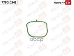 ��������� ��������� ���������� FORD S-MAX (WS) TBWB, AOWA, AOWB, TBWA MasterKit ���. 77BGI0341 77BGI0341 ����