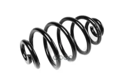������� ������� ����� | ��� ����/��� | Passat 2001-2008 Standard Springs ���. ST134116R ST134116R ����