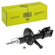 ����������� | ����� ���� | ���� 2110 (������) �����. ����. ���. ��������� (AG 01379) Trialli ���. AG01379 AG01379 ����