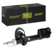 ����������� | ����� ��� | Trialli ���. AG03151 AG03151 ����
