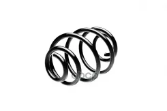 ������� ������� ����� | ��� ����/��� | Lanos 97- Standard Springs ���. ST107002R ST107002R ����